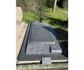 MONUMENT G 454